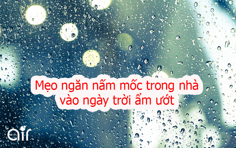 10 mẹo ngăn nấm mốc trong nhà vào ngày trời ẩm ướt ở Hà Nội